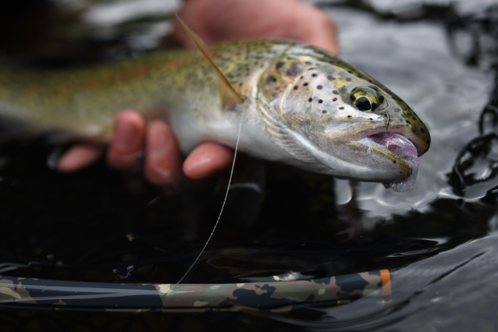 Línea de Pesca- Máxima Fluorocarbon